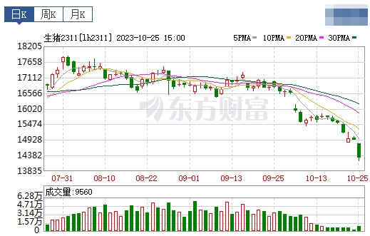 2023.10.26今日猪价