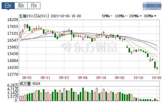 2023.10.27今日猪价