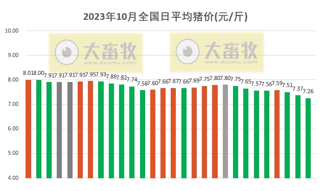 2023.10.28今日猪价