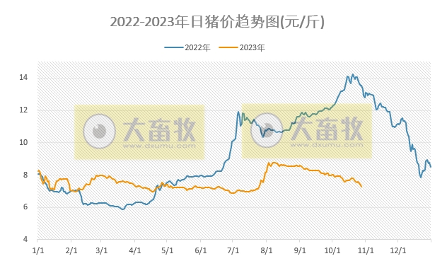 2023.10.28今日猪价