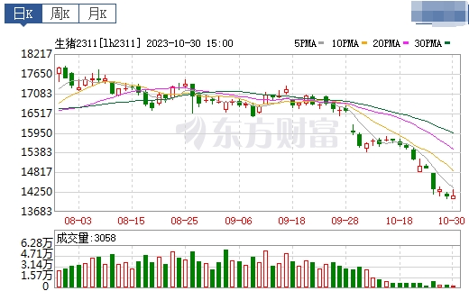 2023.10.31今日猪价