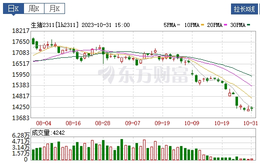 2023.11.01今日猪价