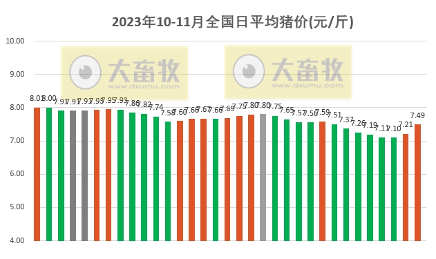 2023.11.02今日猪价