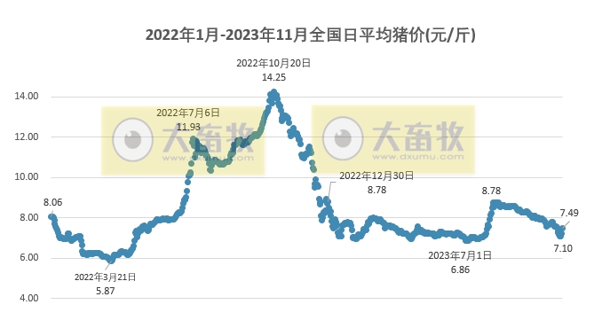 2023.11.02今日猪价