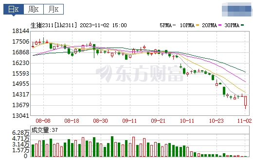 2023.11.03今日猪价