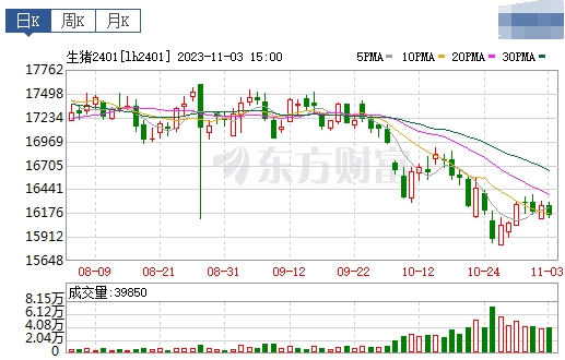 2023.11.04今日猪价