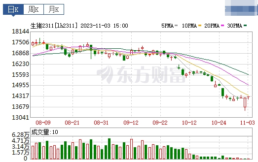 2023.11.04今日猪价
