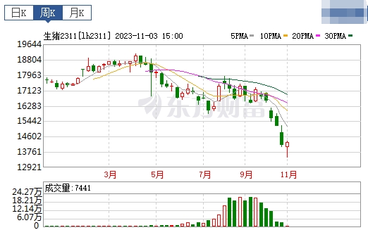 2023.11.05今日猪价