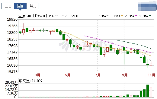 2023.11.05今日猪价