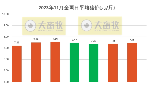 2023.11.07今日猪价