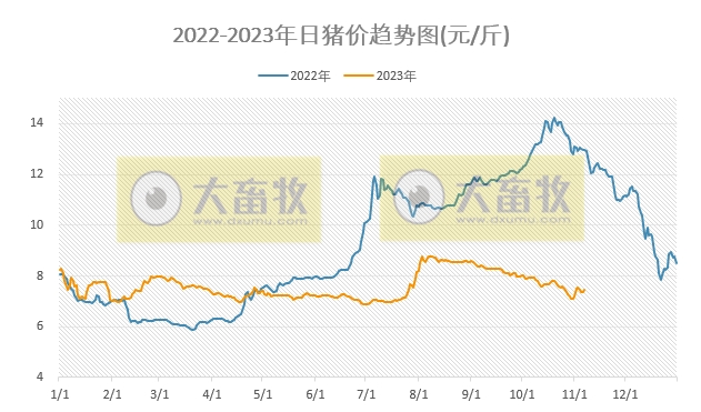 2023.11.07今日猪价