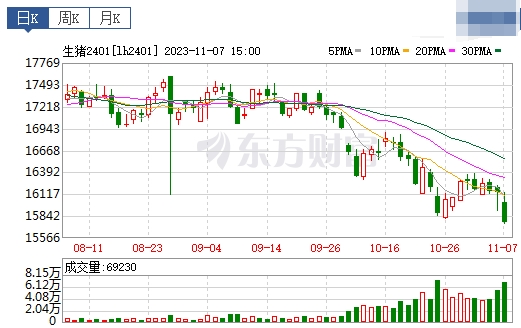 2023.11.08今日猪价