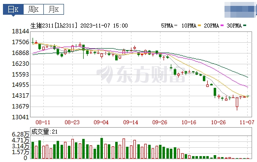2023.11.08今日猪价