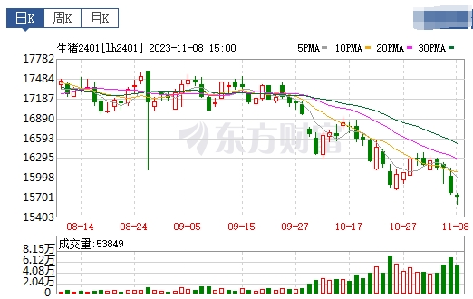 2023.11.09今日猪价