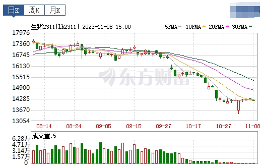 2023.11.09今日猪价