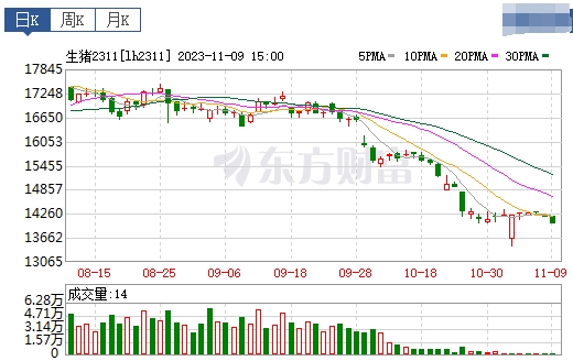 2023.11.10今日猪价