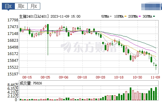 2023.11.10今日猪价