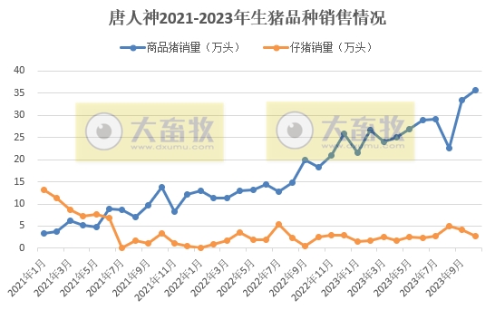 唐人神和中粮2023年10月生猪销售情况