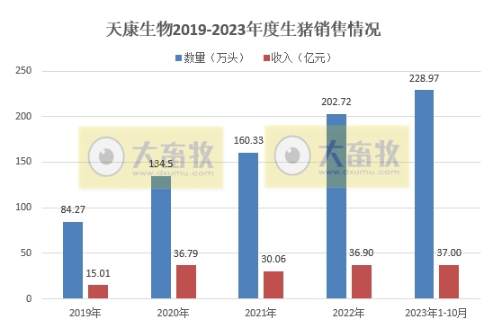 天康、京基智农和金新农2023年10月生猪销售情况