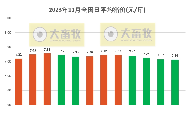 2023.11.12今日猪价