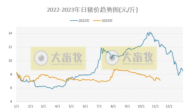 2023.11.12今日猪价
