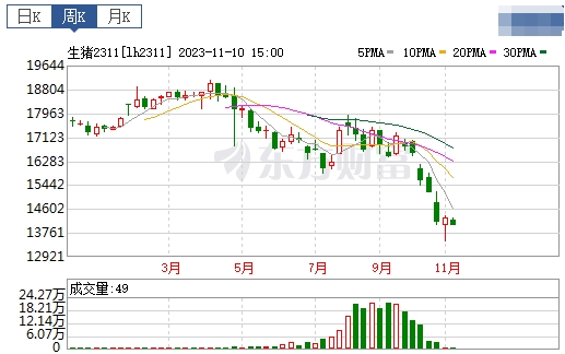 2023.11.12今日猪价
