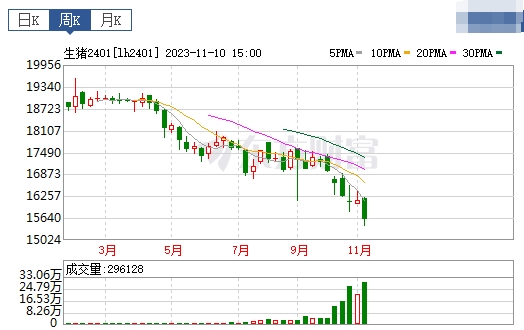 2023.11.12今日猪价