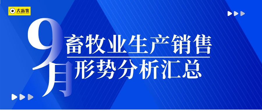 2024年9月畜牧业生产销售形势分析汇总