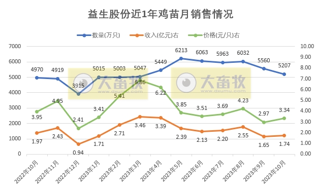益生、民和和晓鸣2023年10月鸡苗销售情况