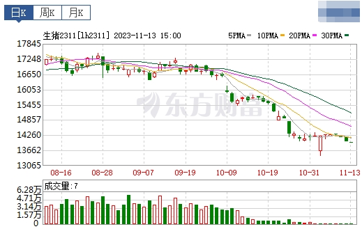 2023.11.14今日猪价