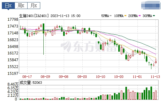 2023.11.14今日猪价