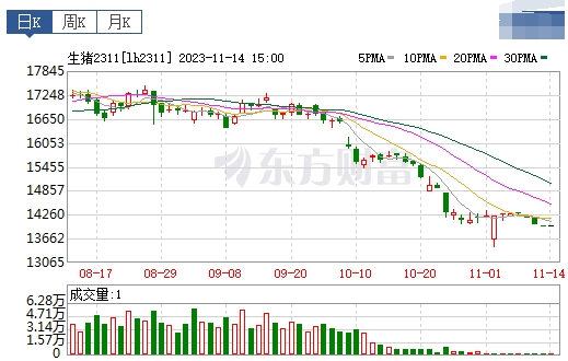 2023.11.15今日猪价