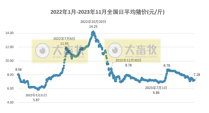 2023.11.16今日猪价
