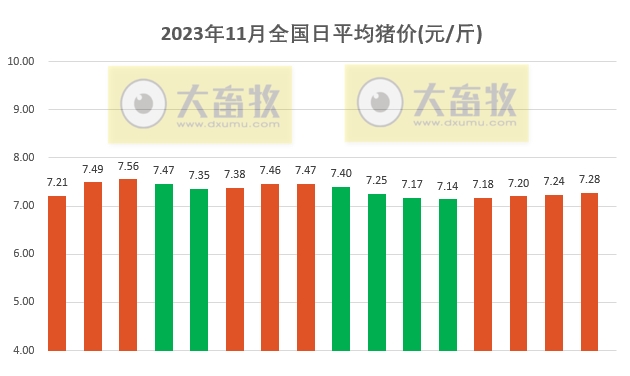 2023.11.16今日猪价