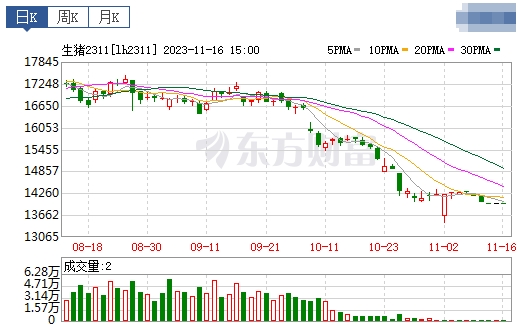 2023.11.17今日猪价