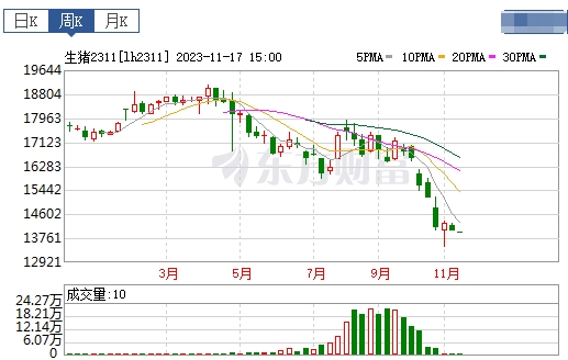 2023.11.19今日猪价