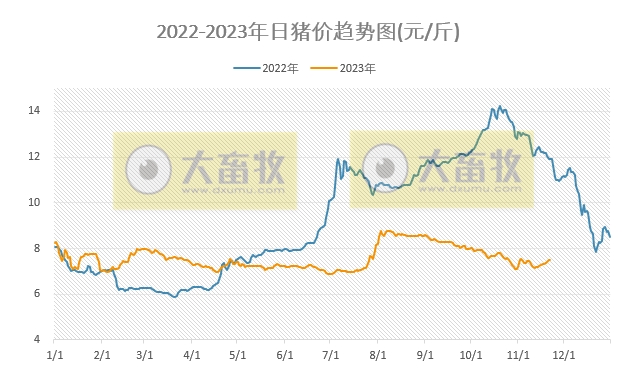 2023.11.22今日猪价