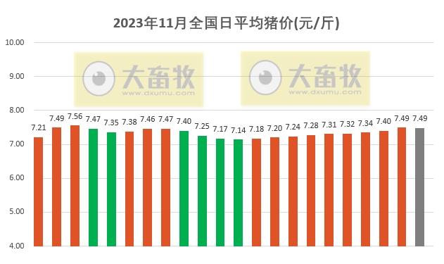 2023.11.22今日猪价
