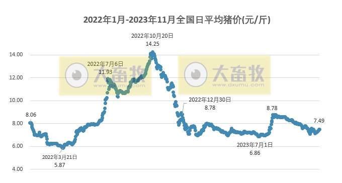 2023.11.22今日猪价