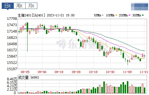 2023.11.22今日猪价