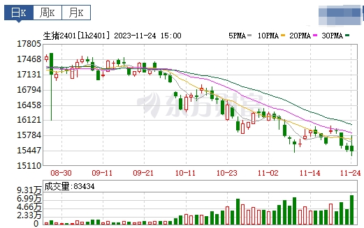 2023.11.25今日猪价