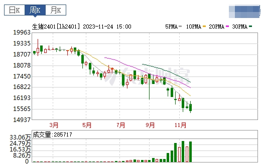 2023.11.26今日猪价