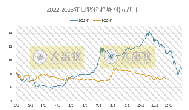 2023.11.26今日猪价