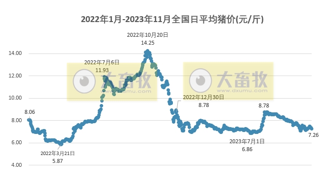2023.11.26今日猪价