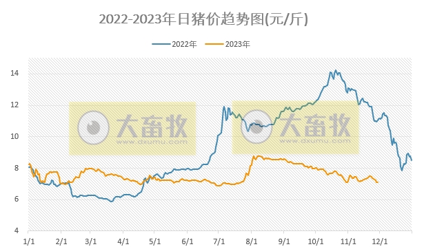 2023.11.29今日猪价