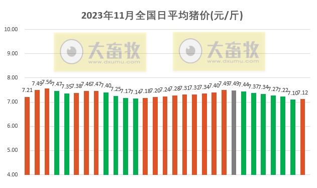 2023.11.29今日猪价