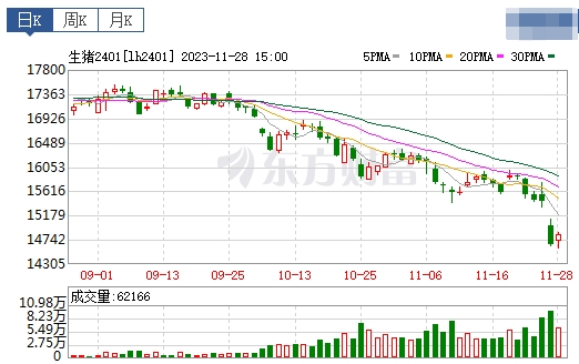 2023.11.29今日猪价