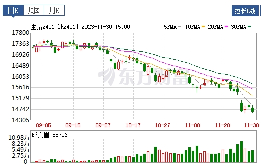 2023.12.01今日猪价