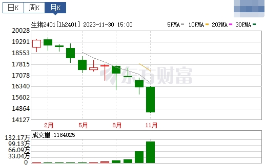 2023.12.01今日猪价