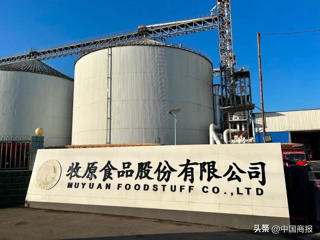 员工承包养猪、高管掏钱买股……牧原股份称有信心穿越猪周期